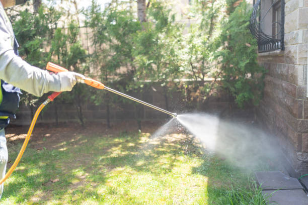 Best Commercial Pest Control Services  in Mohave Valley, AZ