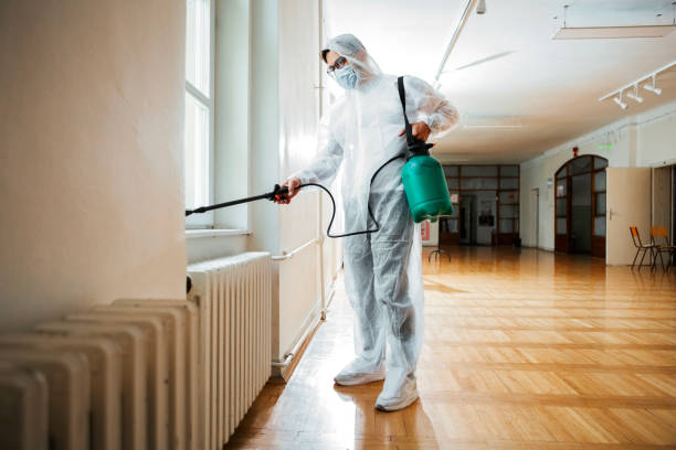 Best Wasp Removal Services  in Mohave Valley, AZ
