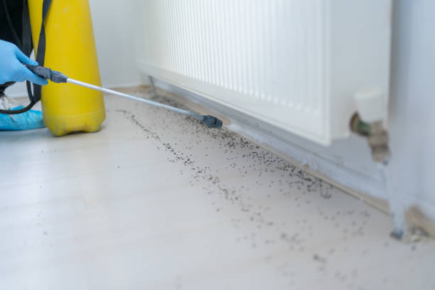Mohave Valley, AZ Pest Control Company